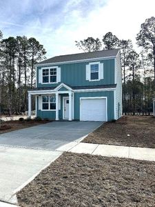 New construction Single-Family house 3005 Dalmore Dr, Ravenel, SC 29470 - photo 0