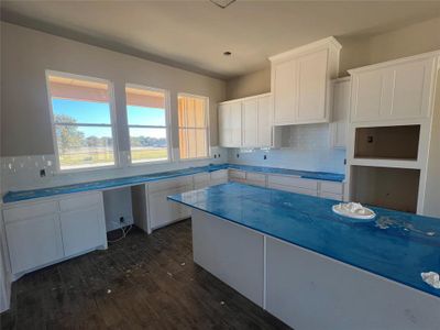 New construction Single-Family house 105 Cattleman Dr, Springtown, TX 76082 - image 6