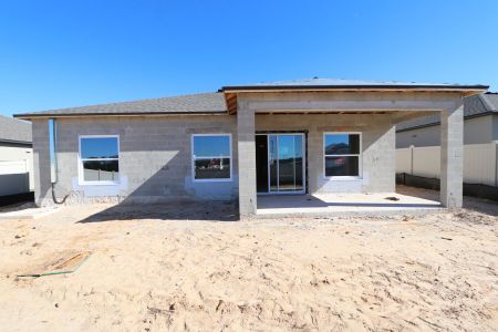 New construction Single-Family house 12263 Hilltop Farms Dr, Dade City, FL 33525 Sentinel- photo 32 32