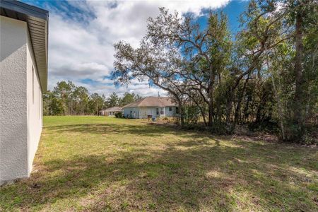 New construction Single-Family house 8980 Sw 133Rd Ln, Ocala, FL 34473 null- photo 41 41