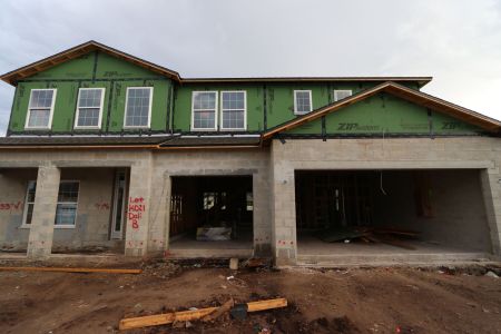 New construction Single-Family house 3063 King Fern Dr, Wimauma, FL 33598 Dali- photo 1 1