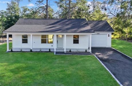 New construction Single-Family house TBD Sequoia Loop Dr, Ocklawaha, FL 32179 - image