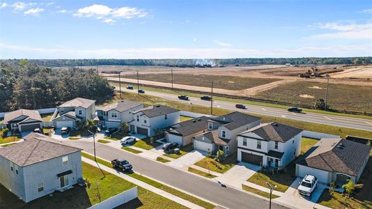 New construction Single-Family house 11395 Lavender Loop, Spring Hill, FL 34609 Annapolis- photo 31 31