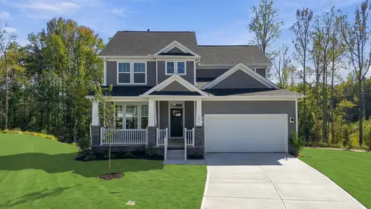 New construction Single-Family house 121 Raven Ln, Easley, SC 29642 plan Middleton - Finished Basement - image