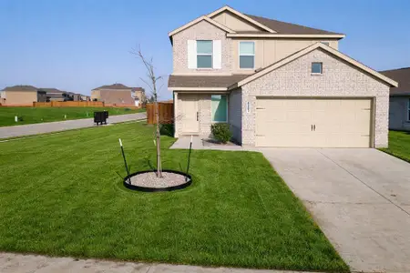 New construction Single-Family house 6201 Tilden Ave, Pilot Point, TX 76258 plan Morrow - image