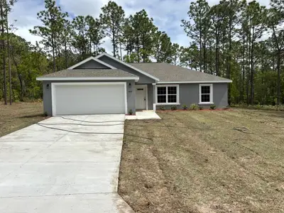 New construction Single-Family house 5659 N Matheson Dr, Dunnellon, FL 34434 - image