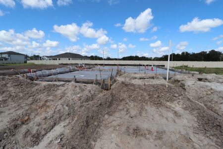 New construction Single-Family house 3099 Adams Cross Dr, Zephyrhills, FL 33540 Alenza- photo 4 4