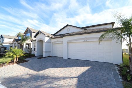 New construction Single-Family house 4774 Beachrose Way, Lakeland, FL 33811 Barcello Bonus- photo 90 90