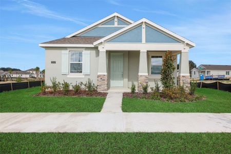 New construction Single-Family house 5160 Firebush Dr, Apopka, FL 32712 plan Amelia - image