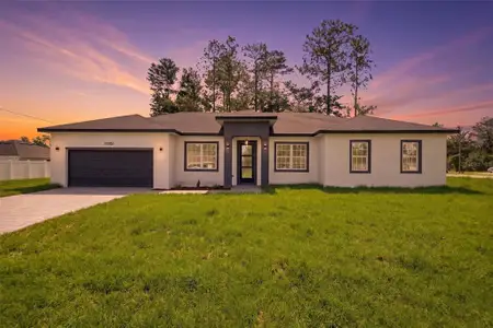 New construction Single-Family house 12881 Sw 56Th Ter, Ocala, FL 34473 - image