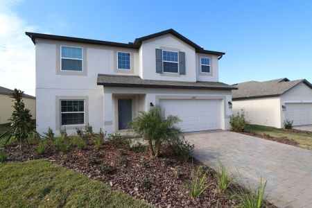 New construction Single-Family house 12219 Hilltop Farms Dr, Dade City, FL 33525 Malibu- photo 188 188