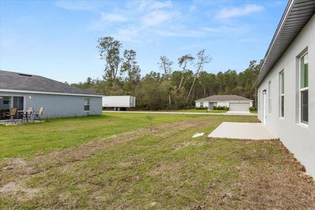 New construction Single-Family house 3995 Sw 151 St, Ocala, FL 34473 null- photo 21 21