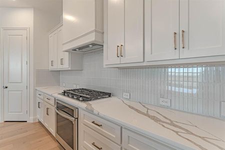 Walsh Townhomes by Village Homes in Aledo - image 13