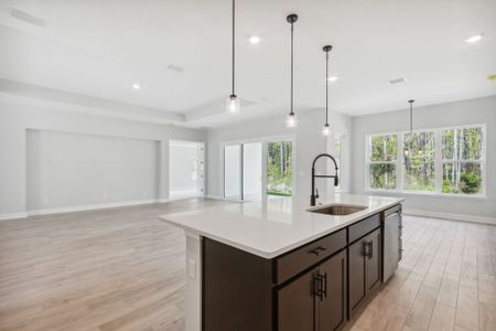 New construction Single-Family house 14224 Lons Pl, Jacksonville, FL 32226 plan Amelia - image 5