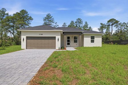 New construction Single-Family house 17188 Sw 18Th Avenue Rd, Ocala, FL 34473 - image