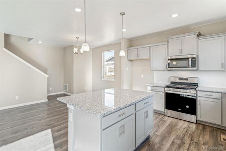 New construction Single-Family house 18029 Dandy Brush Ln, Parker, CO 80134 ELDER II- photo 14 14