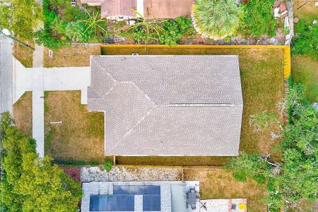 New construction Single-Family house 8115 N 12Th St, Tampa, FL 33604 - image