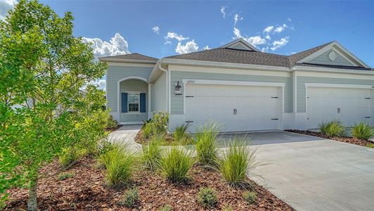 New construction Single-Family house 14705 Barefoot Ln, Parrish, FL 34219 Tidewater B- photo 0