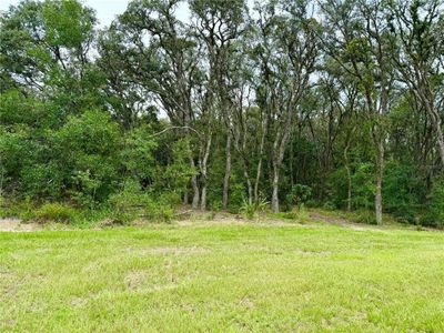 New construction Single-Family house 279 W Pearson St, Hernando, FL 34442 - photo 37 37