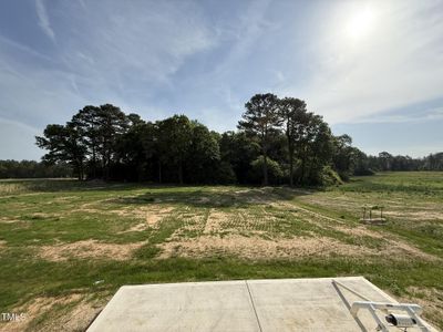 New construction Single-Family house 63 Coharie Dr, Lillington, NC 27546 - image 13