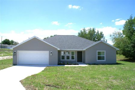 New construction Single-Family house 133 Larch Rd, Ocala, FL 34480 - image
