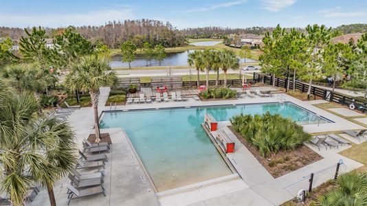 New construction Single-Family house 13614 Stevenson Ln, Odessa, FL 33556 null- photo 36 36
