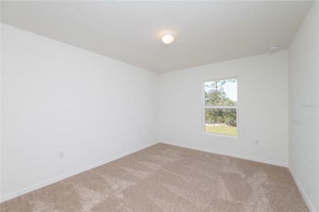 New construction Single-Family house 4631 San Lorenzo Dr, Sebring, FL 33872 - image 12