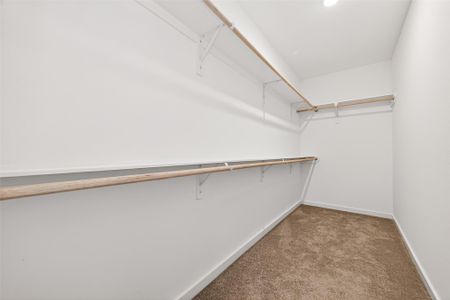 New construction Single-Family house 12959 Daniel Springs Ln, Magnolia, TX 77354 plan Rutherford III G - image 12