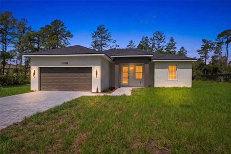New construction Single-Family house 17188 Sw 18Th Avenue Rd, Ocala, FL 34473 - image