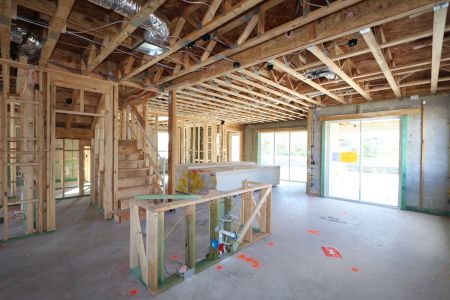 New construction Single-Family house 1787 Drummond Pt, Zephyrhills, FL 33541 Sonoma II- photo 62 62