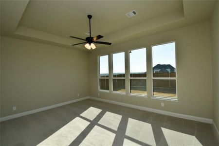 New construction Single-Family house 4010 Pleasant Dr, Prosper, TX 75078 - image 16