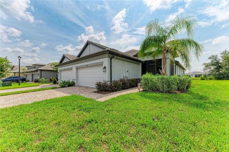 New construction Single-Family house 18048 Cherished Lp, Lakewood Ranch, FL 34211 - image