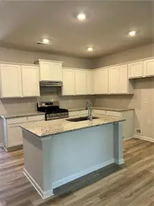 New construction Single-Family house 18 Primrose Dr, Dallas, GA 30132 plan Orchard - image 8