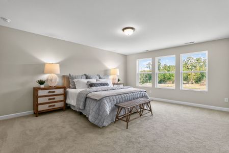 Serenity - The Village Collection by David Weekley Homes in Fuquay Varina - image 10