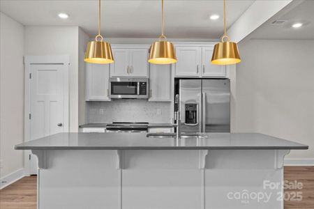 New construction Townhouse house 51 Moon Haven Wy, Arden, NC 28704 plan Litchfield - image 11