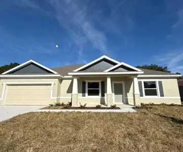 New construction Single-Family house 54 Butterfield Dr, Palm Coast, FL 32137 plan Delray - image