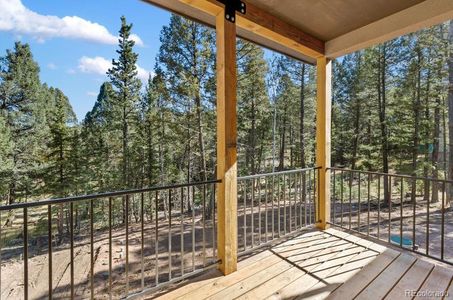 New construction Single-Family house 270 Southpark Rd, Florissant, CO 80816 - image