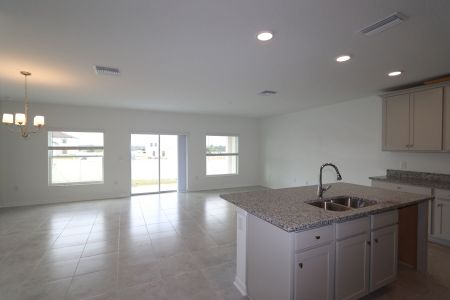 New construction Single-Family house 12227 Hilltop Farms Dr, Dade City, FL 33525 Sentinel- photo 92 92