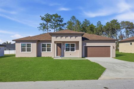 New construction Single-Family house 4465 Sw 152Nd St, Ocala, FL 34473 - image
