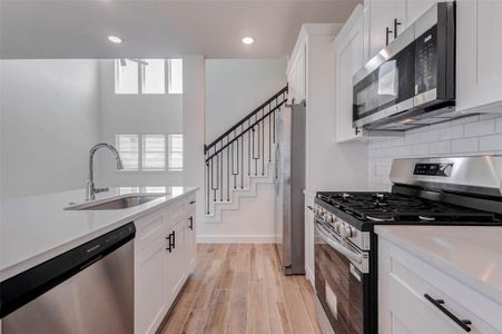 New construction Single-Family house 1206 Hemet Ct, Rosharon, TX 77583 - image 10
