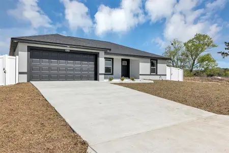 New construction Single-Family house 13792 Se 42Nd Ave, Summerfield, FL 34491 - image