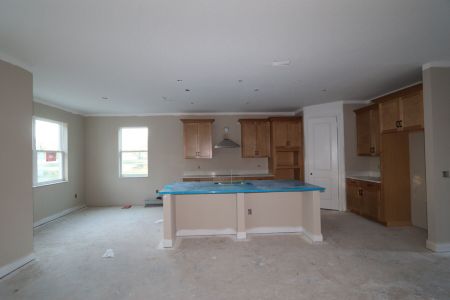 New construction Single-Family house 20125 Oriana Loop, Land O' Lakes, FL 34638 Santina II- photo 112 112