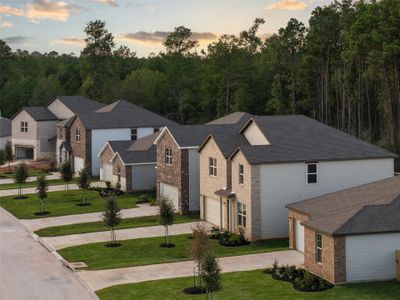 New construction Single-Family house 25039 Apricot Ct, Montgomery, TX 77316 plan Pedernales - image