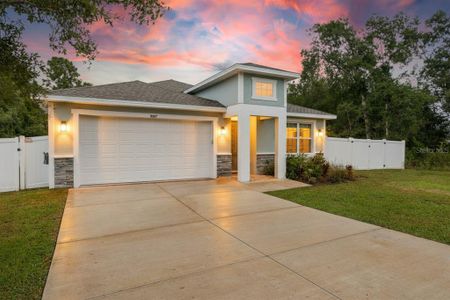 New construction Single-Family house 9367 Se 163Rd St, Summerfield, FL 34491 - image