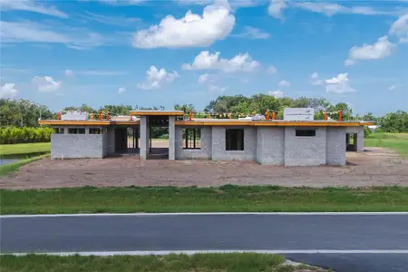 New construction Single-Family house 12913 Gunn Hwy, Odessa, FL 33556 - image