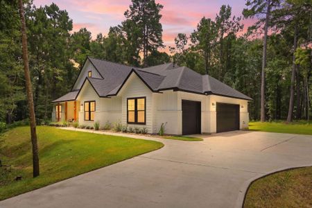 New construction Single-Family house 115 Llano Ct, New Waverly, TX 77358 - image