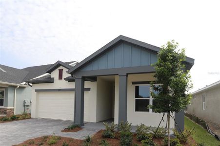 New construction Single-Family house 6057 Sacred Oak Ave, Mount Dora, FL 32757 The Sanborn- photo 2 2