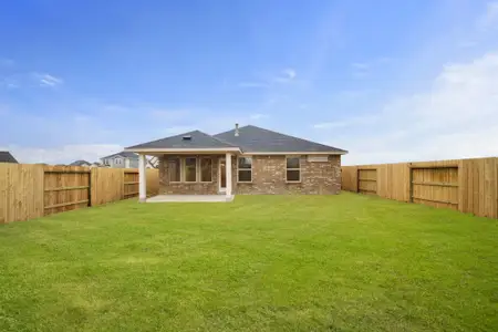 Copia Pines: Premier Collection 4