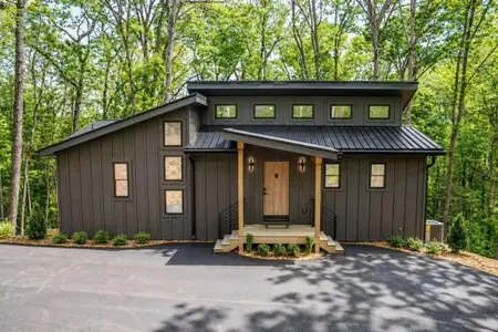 New construction Single-Family house 26 Grace Dr, Blue Ridge, GA 30513 - image
