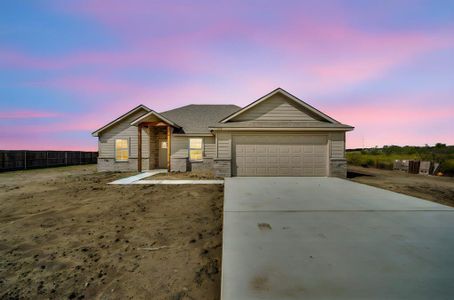 New construction Single-Family house 133 Joyce St, Whitney, TX 76692 - image